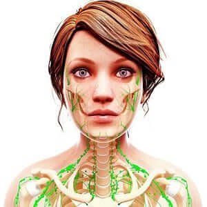 female-lymphatic-system-undereyes female-lymphatic-system-undereyes