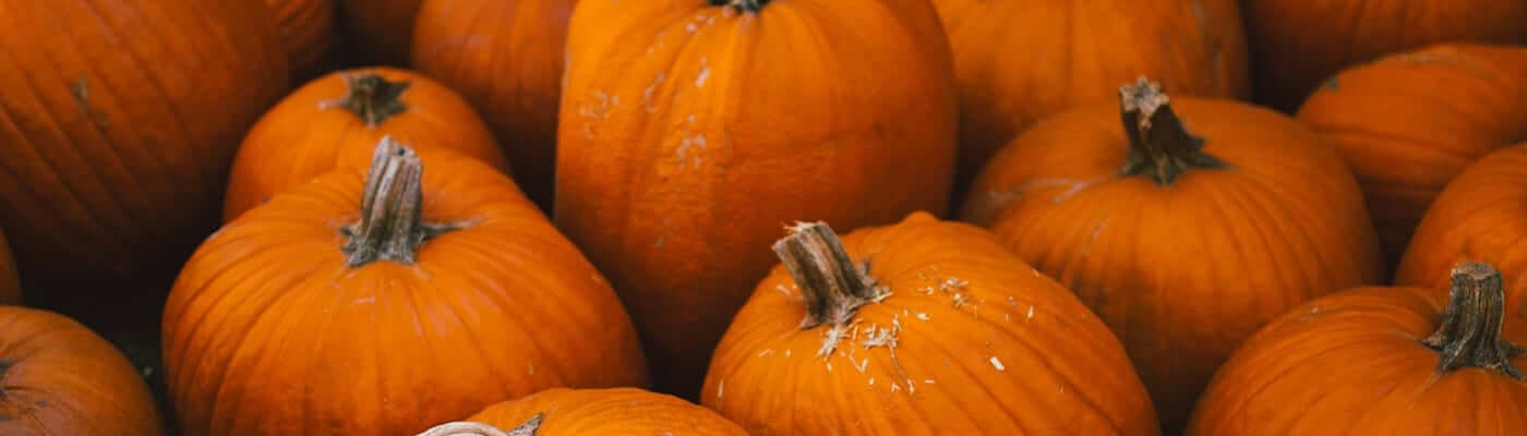 treatments for fall